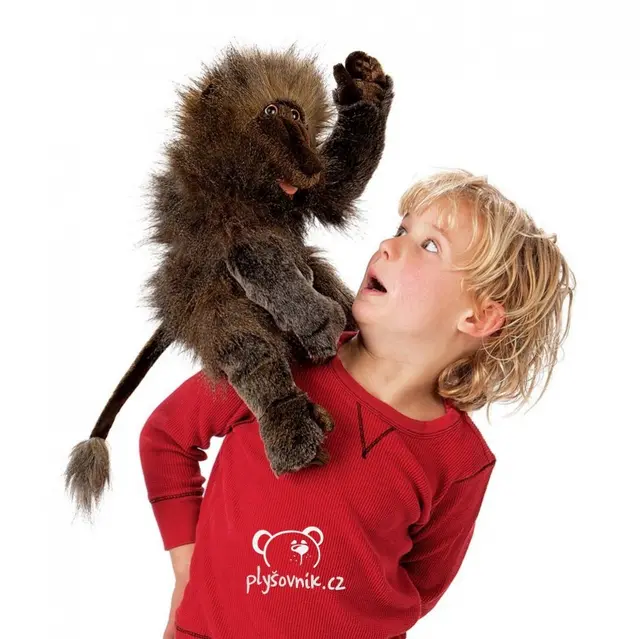 Velký pavián Baboon