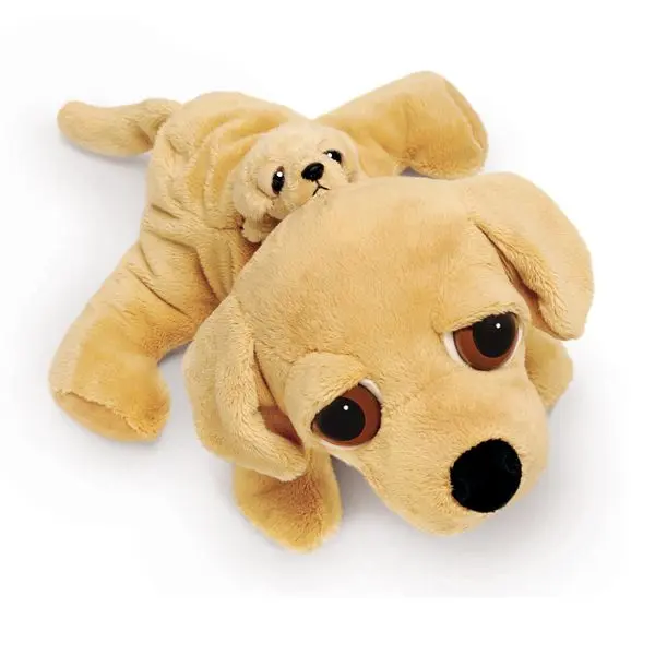 Labrador Barney s miminkem