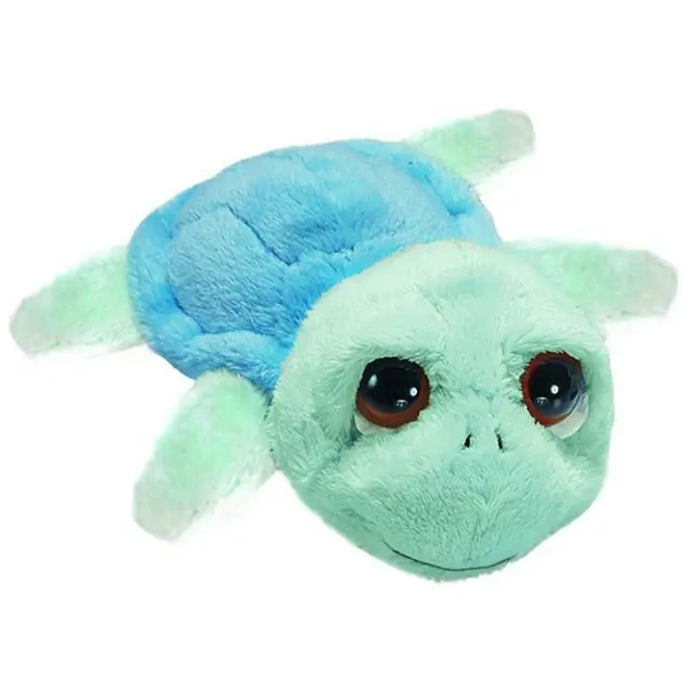 Menší želvička Reef