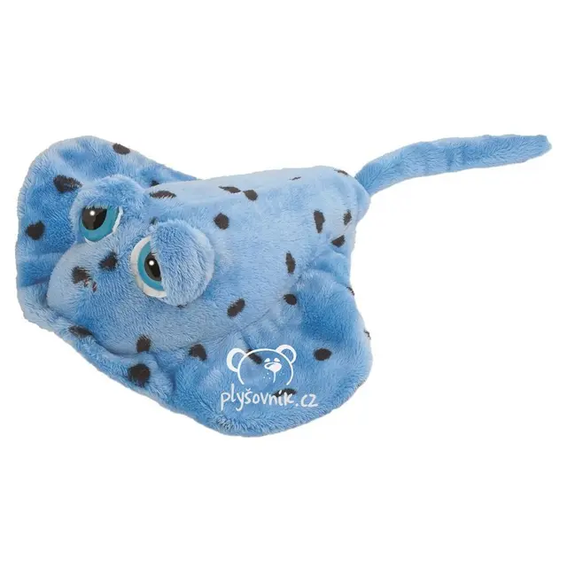 Rejnok Glider