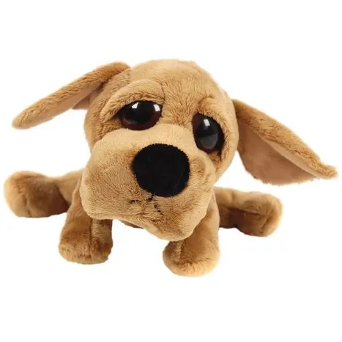 Labrador Jake