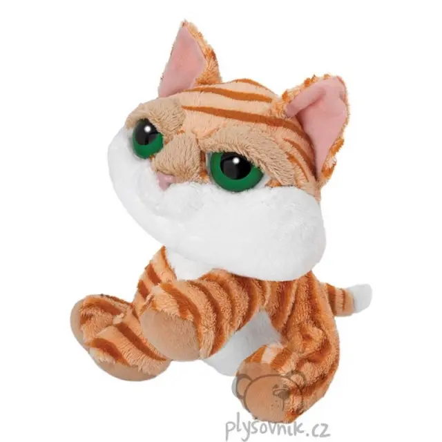 Menší kočka Tabby