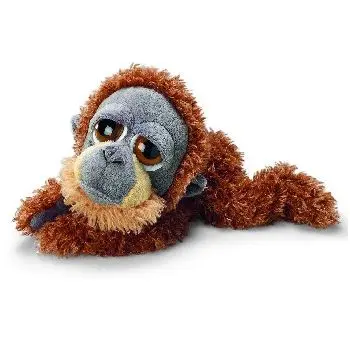 Orangutan Gordon