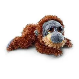 Menší orangutan Gordon