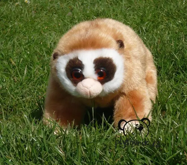 Outloň váhavý