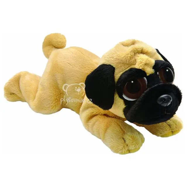 Menší mopslík Pippin