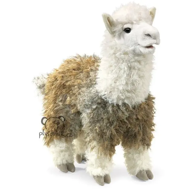 Lama alpaka