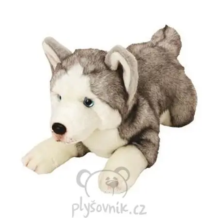 Husky Yomiko