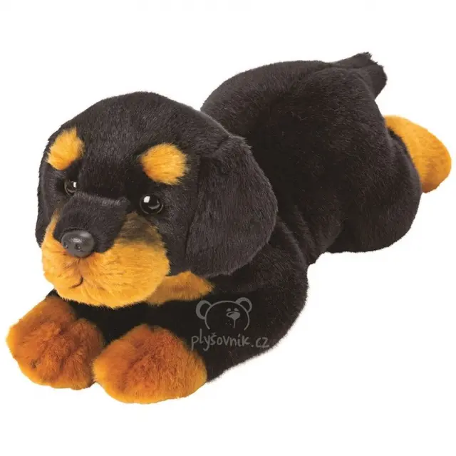 Rottweiler Yomiko