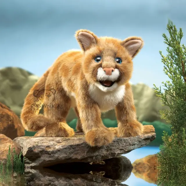 Puma americká