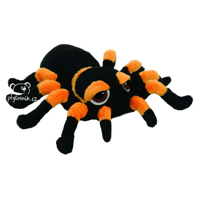 Pavouk Tarantule