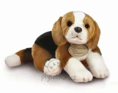 Beagle velký