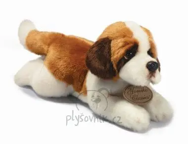 Bernardýn menší