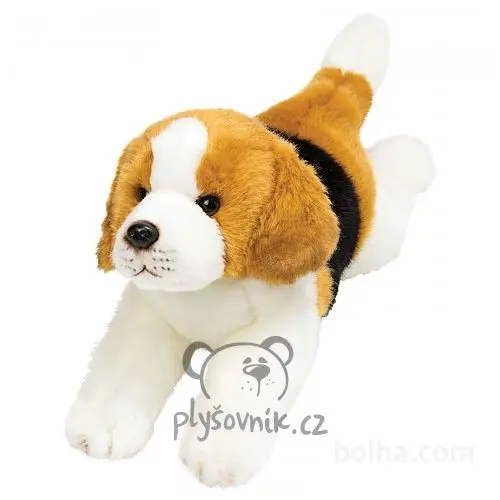 Ležící beagle Yomiko
