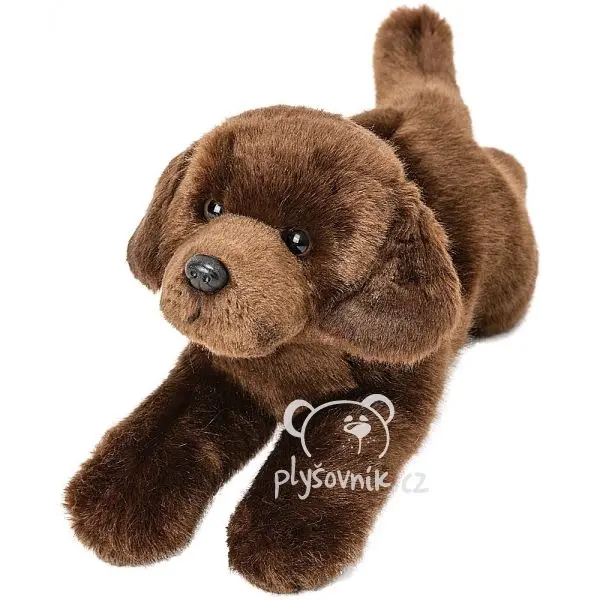 Hnědý labrador Yomiko