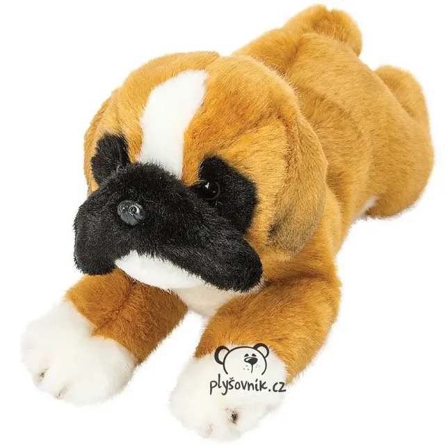 Ležící boxer Yomiko