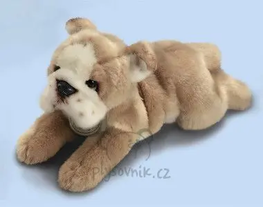 Buldog menší