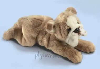 Buldog velký