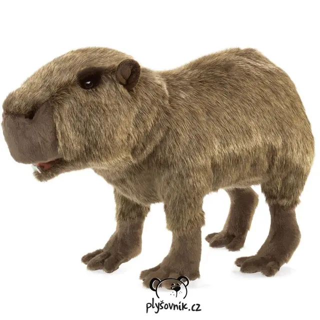 Kapybara