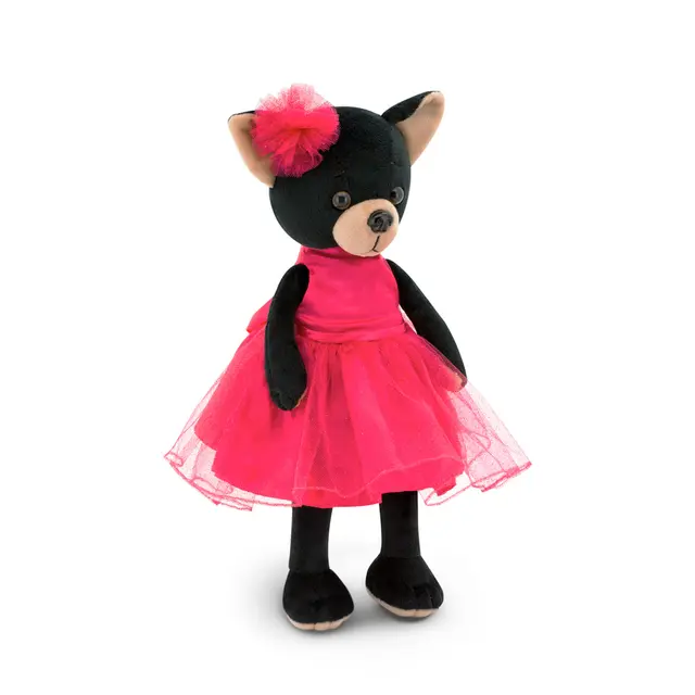Čivava Lucky Blacky Carmen