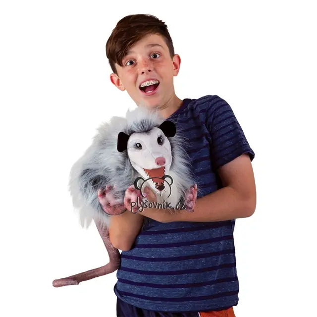 Velká vačice