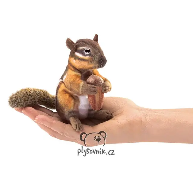 Veverka Chipmunk na prst