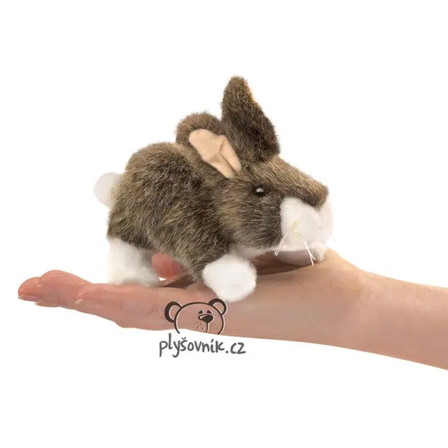 Králík východoamerický