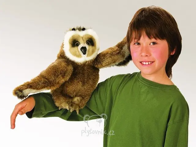 Ušatá sova