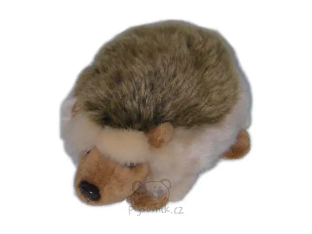 Ježek