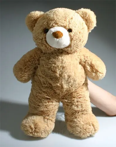 Velký medvěd