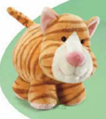 Kočka Tabby