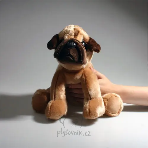 Mops Sukey velký