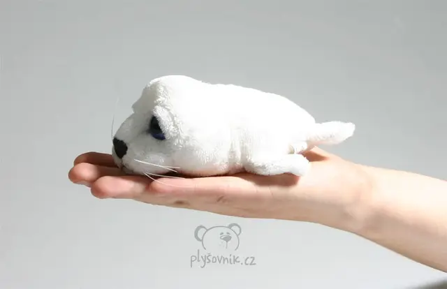 Tuleň Icy bílý menší